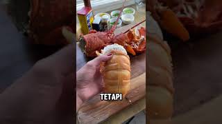 KEKUATAN CAPIT LOBSTER🥶 [upl. by Nottnerb725]