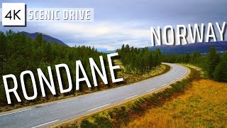 Relaxing Rainy Drive in Norway  Rondane Scenic Route through Mountains Forests Rivers 4K [upl. by Sadnak]