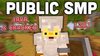 NEW Public Minecraft SMP Java amp Cracked [upl. by Asiulairam791]