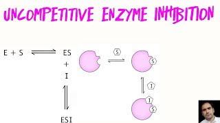 Uncompetitive enzyme Inhibition  Enzyme Inhibitions Biochemistry  Km and Vmax in UCI [upl. by Eremaj]