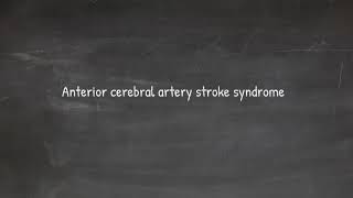 anterior cerebral artery stroke  all you need to know [upl. by Ames448]