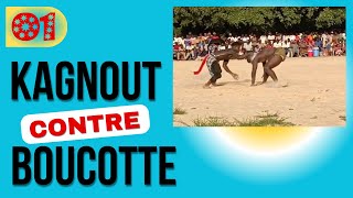 KAGNOUT contre BOUCOTTE DIÉMBÉRING  Partie 02 [upl. by Drapehs]