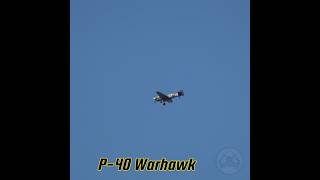 Take a Look at the P40 Warhawk WWII Fighter Flying in 2024 aviation military history [upl. by Aranat]