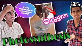 Photosynthesis Practical That You Have Never Seen  😱🤯 shorts science youtubeshorts [upl. by Fenny820]