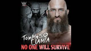 Tomasso Ciampa theme Fairy box INTRO Extremely Favourite [upl. by Wooldridge556]