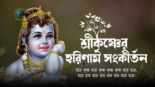 মধুর সুরে সন্ধ্যা আরতী কীর্তন।হরে কৃষ্ণ হরে কৃষ্ণ কৃষ্ণ কৃষ্ণ হরে হরে  সনাতনী সুর [upl. by Leirraj496]