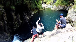 Pêche des Meilleurs Truites de la Réunion à Takamaka [upl. by Atikal]