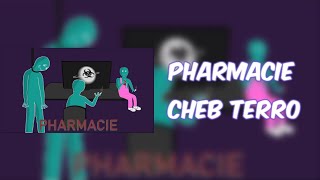 CHEB TERRO  PHARMACIE  LYRICS  PAROLES [upl. by Joaquin116]