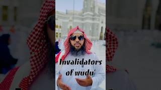 Invalidators of Wudu for Beginners Fiqh [upl. by Dyob]