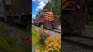 Great Smoky Mountain Railroad Tuckasegee River Excursion [upl. by Mcallister]