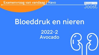 7 Examenvraag van vandaag  Havo  20222 Avocado [upl. by Tarttan]