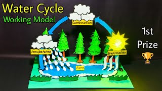 How to make water cycle science modelHow to make water cycle working modelWater cycle school model [upl. by Ayom575]