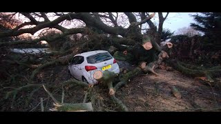 Part 2Tree falls on Car Brigsley Occupants OK Minor injuries [upl. by Aikrahs290]