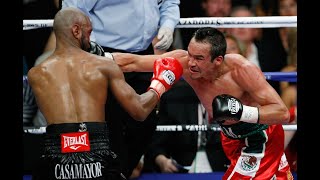 Juan Manuel Marquez Vs Joel Casamayor Highlights RING Title [upl. by Cedar]