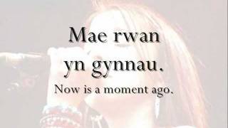 Rwan  Meinir Gwilym geiriau  lyrics [upl. by Adnuhser]