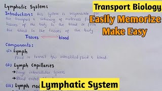 Lymphatic System  Lypmh  Class 11 Biology [upl. by Dragde]