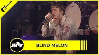 Blind Melon  Walk  Live  Metro [upl. by Anilrac]