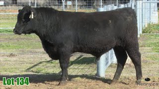 Lot 134 Rennylea NOR23U768 [upl. by Kcirredal674]