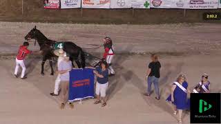 2024 Greene County Fair Harness Racing [upl. by Eekorehc237]