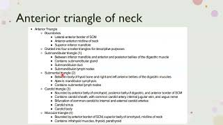 anterior triangle of Neck [upl. by Lidia]