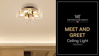 Meet And Greet Crystal Ceiling Light  White Teak [upl. by Stead]