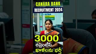 Canara Bank Recruitment 2024  3000 apprentice vacancies in canara bank [upl. by Virginie]