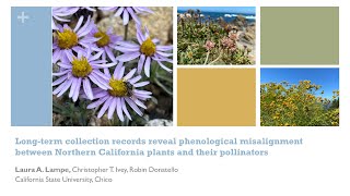 Records reveal phenological misalignment between No CA plants and their pollinators by Laura Lampe [upl. by Mattson]