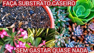 COMO FAZER SUBSTRATO CASEIRO para SUCULENTASCACTOS e PLANTAS SEM GASTAR QUASE NADA [upl. by Odele]