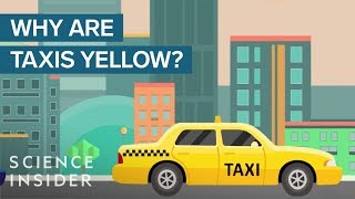 Why Are Taxicabs Yellow [upl. by Grantley]