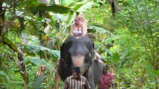 Tour in Sri Lanka  Elephant Riding at Pinnawala [upl. by Concoff]