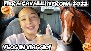 ⭐️ VLOG  FIERA CAVALLI VERONA 2022  UN VIAGGIO STUPENDO [upl. by Obnukotalo]