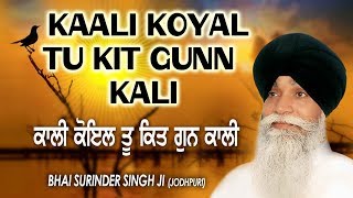 KAALI KOYAL TU KIT GUNN KALI  BHAI SURINDER SINGH JODHPURI  SHABAD GURBANI [upl. by Ainegul]