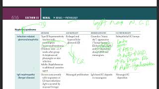 31 Nephritic syndrome  Infection related glomerulonephritis  IgA nephropathy  RPGN [upl. by Wylie521]