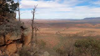 Bunnik Tours Australia  Flinders Ranges with the SA Experts [upl. by Yldarb]