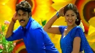 Inka Yedo Kaavalantu Romantic Video Song  Ninne Pelladatha Movie  NagarjunaTabu [upl. by Yanal]