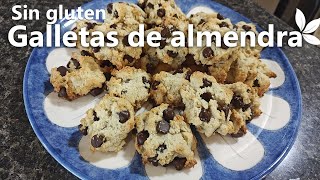 Galletas de harina de almendras  SIN gluten [upl. by Areyk]