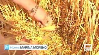 Destrozos en el campo por las tormentas [upl. by Enyleve]