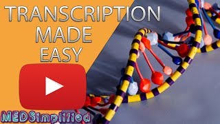 Transcription Made Easy From DNA to RNA 2019 [upl. by Akemrehs878]