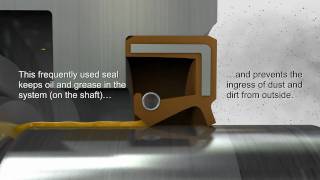 Shaft Seals amp Rotary Seals — Trelleborg Sealing Solutions [upl. by Einolem]