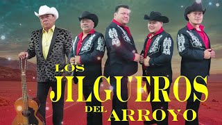 Los Jilgueros Del Arroyo Mix Grandes Canciones  Corridos Huapangos Polka Nortenas Mix 2022 [upl. by Lerrehs167]