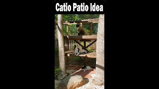 1 Way to Keep Outdoor Cats Safe DIY Catio Patio 😻 shorts [upl. by Yulma]