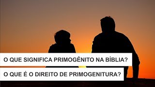 O que significa primogênito na Bíblia O Que é o Direito de Primogenitura [upl. by Eegnat]