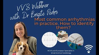 VVS Webinar Most common arrhythmias in practice How to identify them [upl. by Ahseiyk]