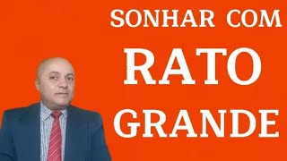 SONHAR COM RATO GRANDE [upl. by Artemisa]