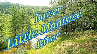 Lower Little Manistee River a 6 Mile to Old Stronach Float [upl. by Ydnas]