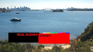 Real Scenes Sydney  Resident Advisor [upl. by Relyuc253]