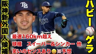 【岡田阪神補強情報】阪神タイガース新外国人ハビー・ゲラ獲得調査 阪神タイガース 阪神 ゲラ [upl. by Hartzke468]