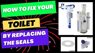 How to repair a toilet with new seals Geberit [upl. by Marla]