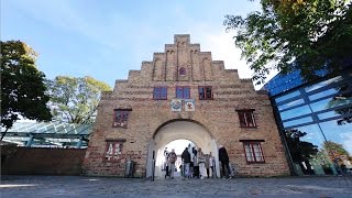 Flensburg  Zwischen Himmel und Förde  Tourismus [upl. by Onit]