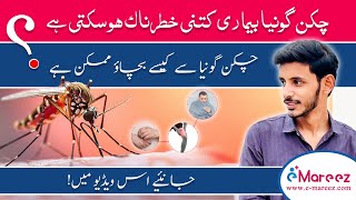 shocking facts about chikungunya virus  chikungunya ki alamat or ilaj  chikungunya symptoms [upl. by Alonso]